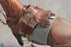 Pre-order 1/6 DID E60084 Brown WWII German War Horse (Standing)
