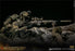 Pre-order 1/6 DAMTOYS 78100 RUSSIAN SPETSNAZ FSB ALPHA GROUP SNIPER