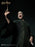 Pre-order 1/6 INART Ag A047 Harry Potter and the Deathly Hallows - Voldemort