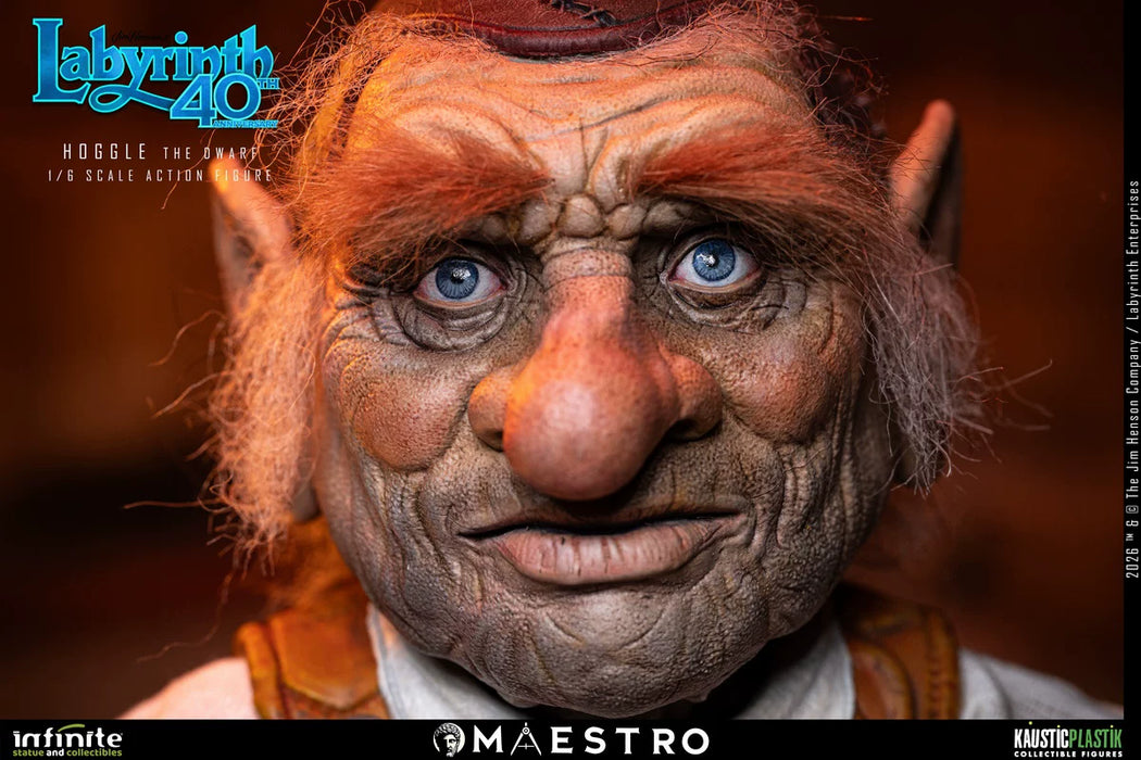 Pre-order 1/6 Infinite Statue 8033300432549 LABYRINTH HOGGLE THE DWARF Action Figure