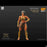 Pre-order 1/12 Xray Spartalia WF26 Action Figure