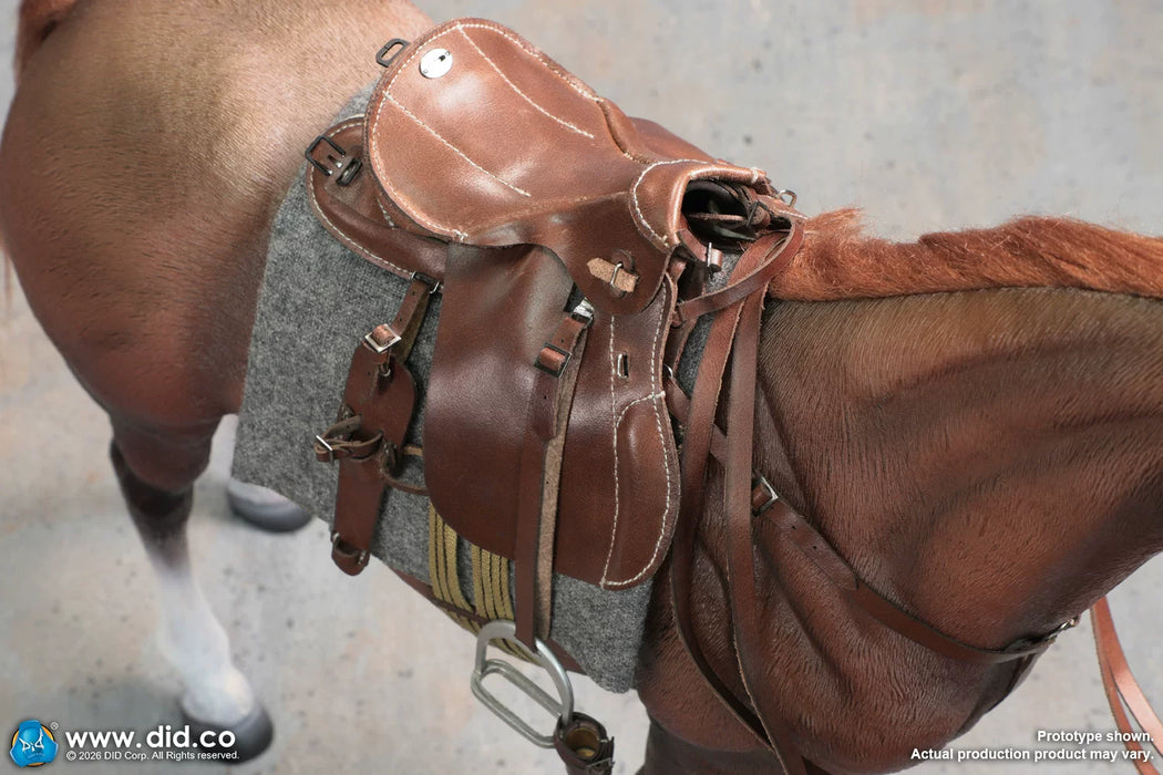 Pre-order 1/6 DID E60084 Brown WWII German War Horse (Standing)