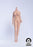 Pre-order 1/12 OCTPLY WG12001 Platinum Plump Female Seamless Body Body