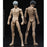 Pre-order 1/12 VTOYS X BMS Figure Body One VB002 VB003