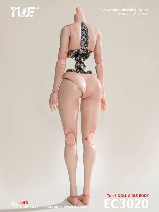 Pre-order 1/6 True1Toys EC3020 White Skin Semi-Mechanical Articulated Medium Bust & Large Bust Female Body（Medium/Large）