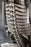 Pre-order 1/6 MMMTOYS M2406 Alien Skull Chair (A/B)