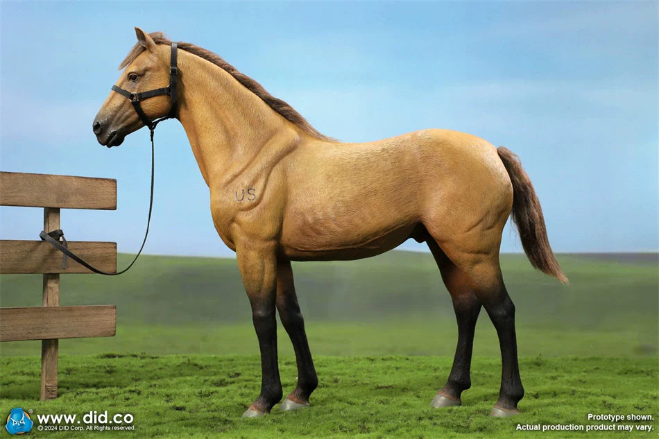 In-stock  1/6 DID E60076 Civil War Brown War Horse (Standing) Reissue