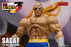 Pre-order 1/12 Storm Collectibles SFSA03 SAGAT - Street Fighter ZERO 3 "STORM ARENA"