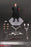 Pre-order 1/12 3R TG80007 Mini Reich Series - WWII German SS Honor Guard Action Figure