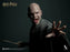 Pre-order 1/6 INART Ag A047 Harry Potter and the Deathly Hallows - Voldemort
