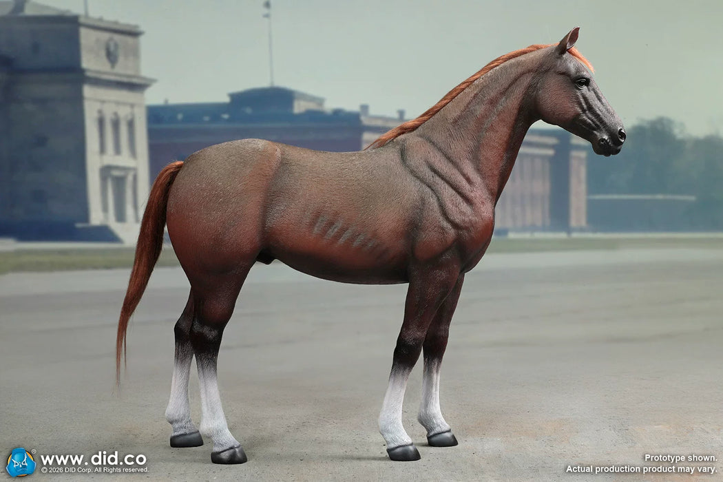 Pre-order 1/6 DID E60084 Brown WWII German War Horse (Standing)