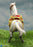 In-stock 1/6 DID E60078 Napoleon White War Horse (Prancing)