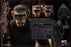 Pre-order 1/6 Hell Cat 202402 Ape Leader Action Figure