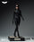 Pre-order 1/6 INART AgA029 TDK Catwoman Action Figure