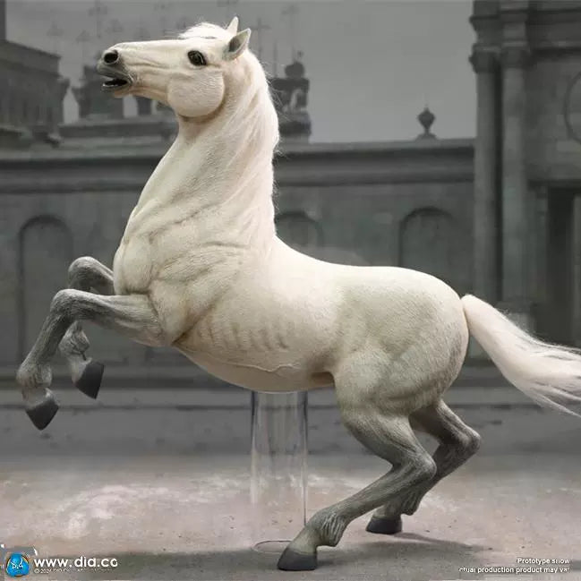 In-stock 1/6 DID E60078 Napoleon White War Horse (Prancing)