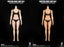 Pre-order 1/6 Verycool VCD-05 Body No.5-Female Body with a Bodybuilding Muscular Physique (A/C)