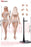 In-stock 1/6 TBLeague TB-DF01(H) &02(H) female seamless body with head sculpt