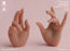 Pre-order 1/6 Worldbox AT209 Hand Sculpt Set