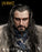 Pre-order 1/6 INART A018 The Hobbit: An Unexpected Journey - Thorin Oakenshield