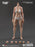 Pre-order 1/6 True1Toys EC3029 Muscular Thigh Version Female Body (Mid Bust)