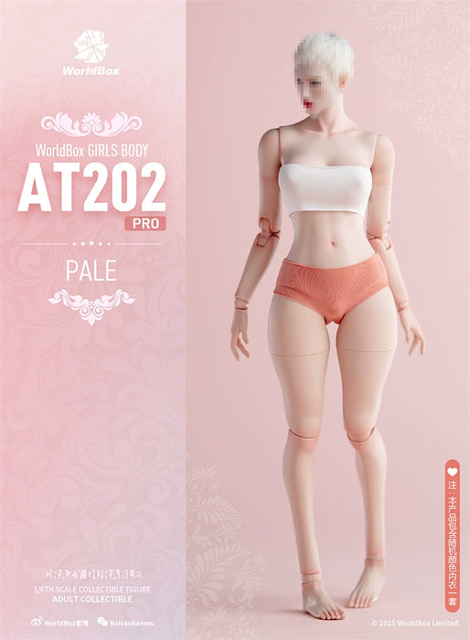 Pre-order 1/6 WORLD BOX AT202Pro Female Body