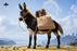 Pre-order 1/6 JXK Studio JXK-307 Mule Action Figure