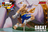 Pre-order 1/12 Storm Collectibles SFSA03 SAGAT - Street Fighter ZERO 3 "STORM ARENA"