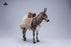 Pre-order 1/6 JXK Studio JXK-307 Mule Action Figure