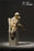 Pre-order 1/6 JPT ATX-01 Male body