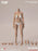 In-stock 1/6 True1Toys EC3028 Narrow Shoulder Fully Articulated Joints Female Body (Large-bust)