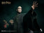 Pre-order 1/6 INART Ag A047 Harry Potter and the Deathly Hallows - Voldemort
