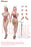 Pre-order 1/6 TBLeague SR-AD01H AD02H Seamless Female body with head sculpt