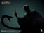Pre-order 1/6 INART Ag A047 Harry Potter and the Deathly Hallows - Voldemort
