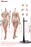 In-stock 1/6 TBLeague TB-DF01&02 female seamless body (No head)
