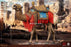 Pre-order 1/6 HAOYU TOYS HH18075B Camel Action Figure