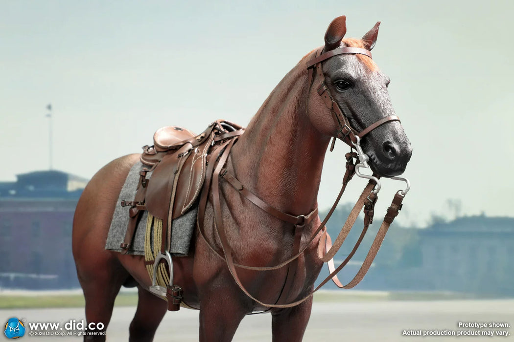 Pre-order 1/6 DID E60084 Brown WWII German War Horse (Standing)