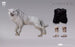 Pre-order 1/12 LPZZ Jon Snow Game of Thrones Accessory Pack