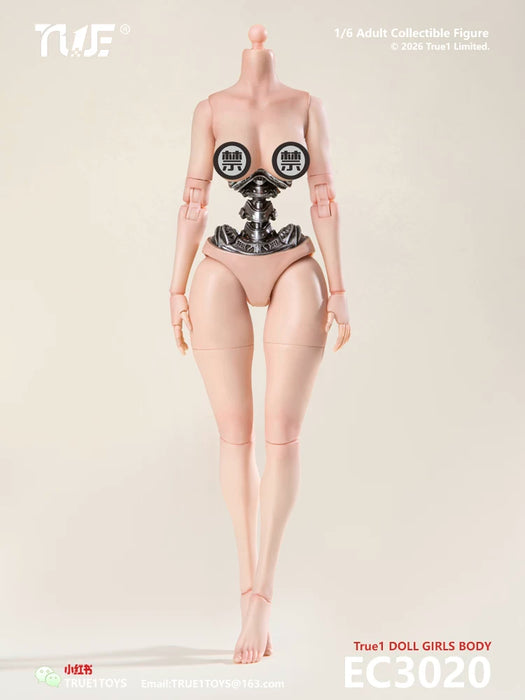 Pre-order 1/6 True1Toys EC3020 White Skin Semi-Mechanical Articulated Medium Bust & Large Bust Female Body（Medium/Large）