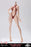 Pre-order 1/6 Longshan LSJS-TS01 Peach-Shaped Full-Hips Platinum Silicone Steel-Bodied Female Body