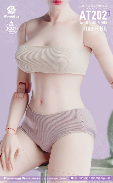 Pre-order 1/6 WORLD BOX AT202Pro Female Body