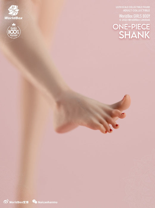 In-stock 1/6 AT204 One-piece Shank Accessories Pack with Thigh