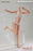 In-stock 1/6 JIAOU DOLLS JOQ-20C JOQ-20C Detachable Feet Muscular Female Body