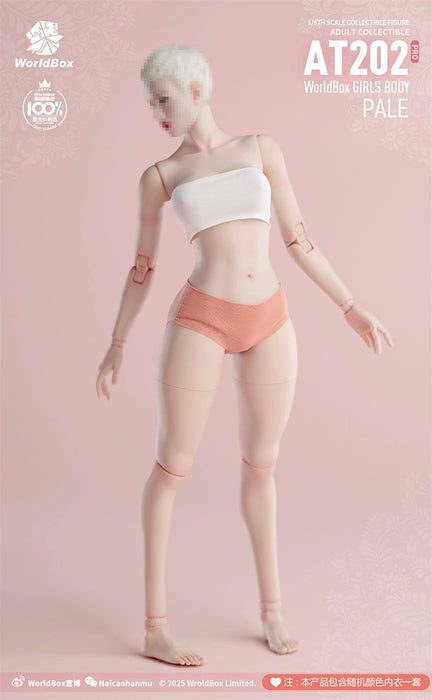 Pre-order 1/6 WORLD BOX AT202Pro Female Body