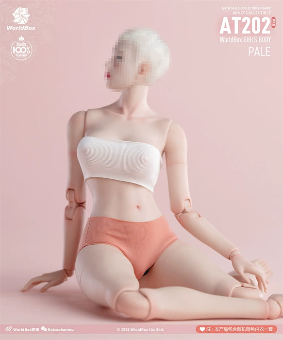 Pre-order 1/6 WORLD BOX AT202Pro Female Body