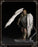 Pre-order 1/12 Fusion Fantasy FTM3-01L Heroes of Magic III - Archangel (Limited Edition)