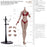 Pre-order 1/6 Mojoy MJ-AF01 & MJ-AF02 Seamless Female Figure Body Without Head