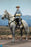 Pre-order 1/6 DID E60086 White War Horse (Standing) Scene & Diorama