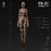 Pre-order 1/6 JPT ITX-01 Female body w/ small breast