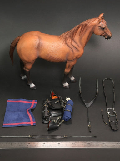 Pre-order 1/6 DID E60082 Brown-Red War Horse (Standing)