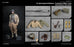 Pre-order 1/6 Facepool FP026 US 2nd Armored Division - Technician 'Bible' Swan M4A3 Sherman Tank Gunner